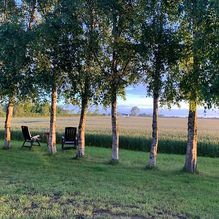 Idestrup Stunning Romantic Cabin Close To Baltic See المظهر الخارجي الصورة